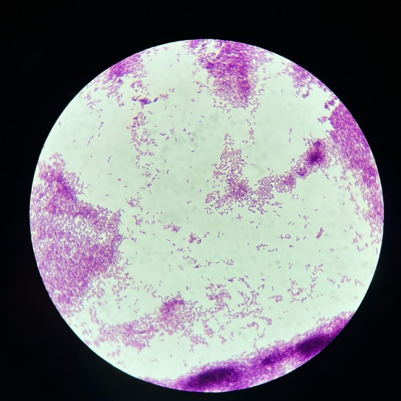 Hello 👋 ☺️ - Picture 3 of 3